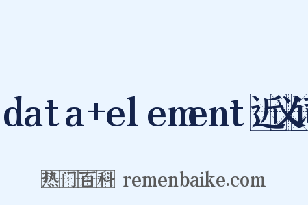 data+element近义词是什么意思的图片